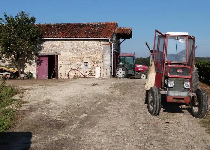 Superbe Loft, Degustations Vignoble Familial