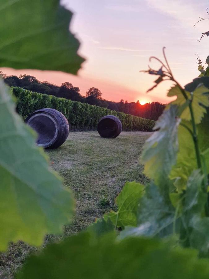 Superbe Loft, Degustations Vignoble Familial * Villars-en-Pons