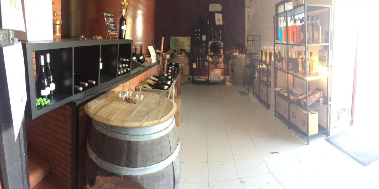 Superbe Loft, Degustations Vignoble Familial Villars-en-Pons